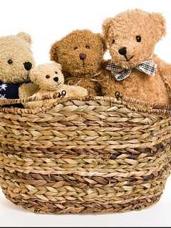 Buy Teddy Bears, Chocolate At Paterson Church's Valentine Fundraiser