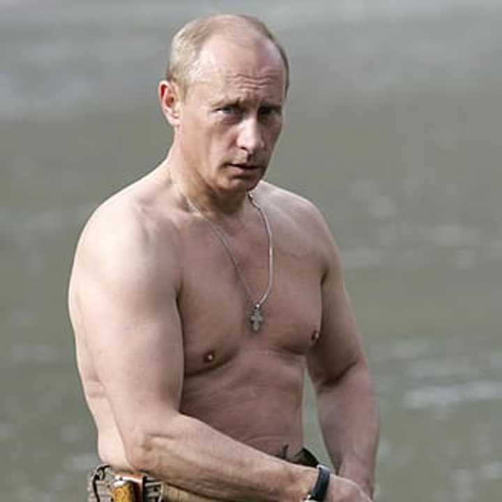 Photos of Vladimir Putin shirtless, fishing (above) and horseback riding, have also stirred public reaction.