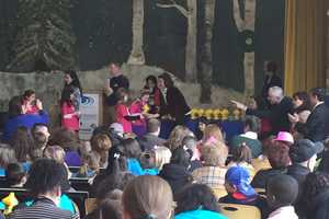 Robotics Teams Invade Bridgeport To Celebrate STEM At Lego Expo