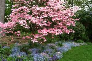 Darien Landscaper Offers Classes At YWCA Darien/Norwalk