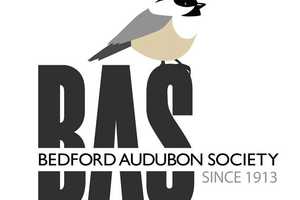 Bedford Audubon Offers Spring Seed Sale To Support Birds, Research