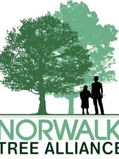 The 'Right Tree in the Right Place' Talk Scheduled At Norwalk City Hall