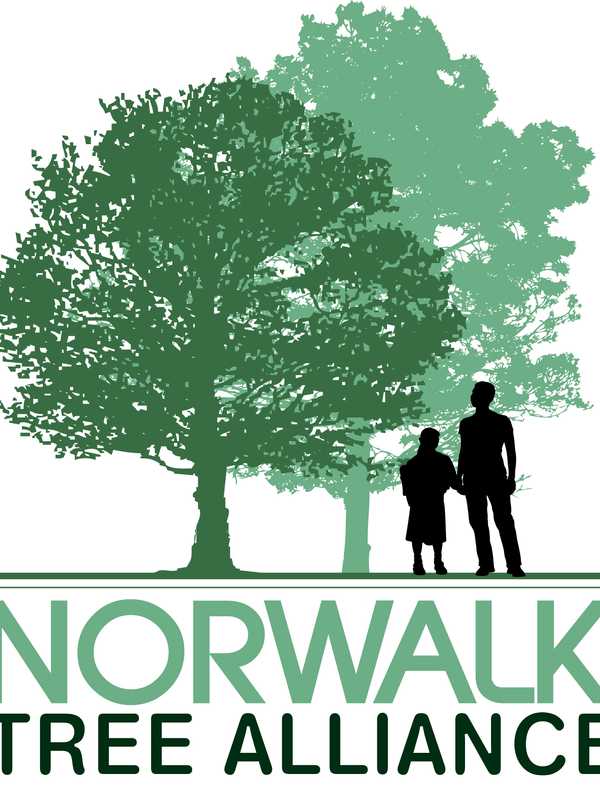 The 'Right Tree in the Right Place' Talk Scheduled At Norwalk City Hall