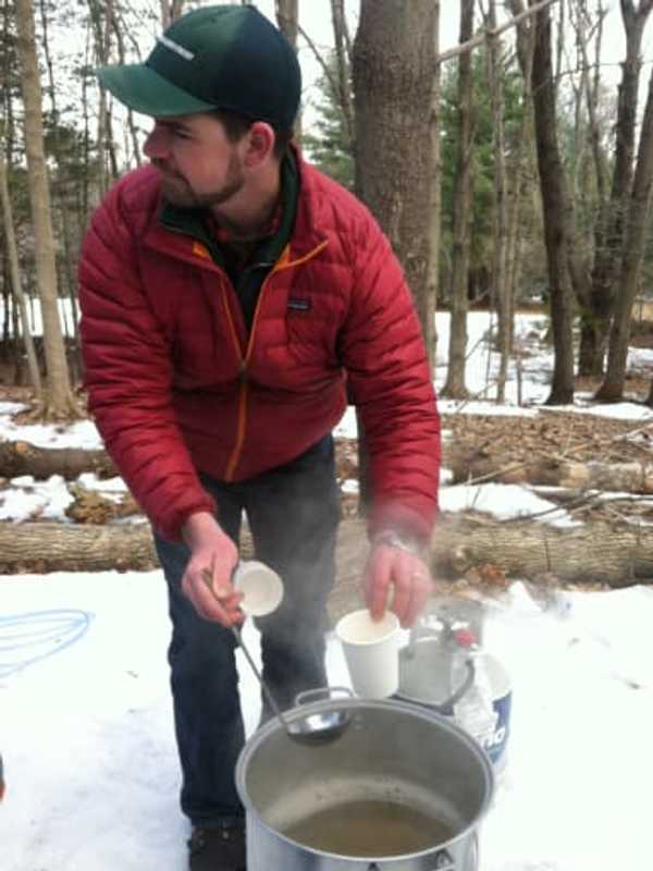 It's Maple Syrup Time At Greenwich Land Trust Site