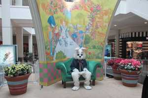 Hop Along The Easter Bunny Trail To The Westchester Mall In White Plains