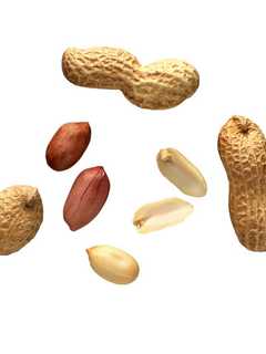Montefiore In Scarsdale Offers Preventative Service For Peanut Allergies