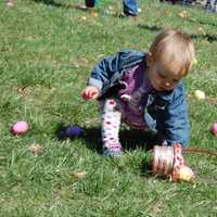 <p>Easter egg hunts are always fun at Stamford Museum &amp; Nature Center.</p>