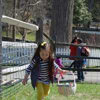 <p>Bring your own basket and enjoy finding eggs at Stamford Museum &amp; Nature Center.</p>