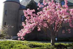 Open Houses In Mount Pleasant This Weekend