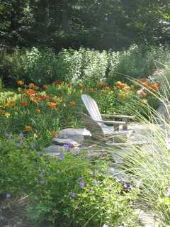 Pound Ridge Garden Club Talk Focuses On How Flower Show Judges Think