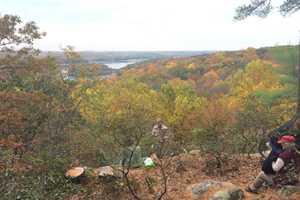Purchases At Whole Foods In Fairfield Help Aspetuck Land Trust