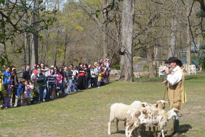 Sheep-To-Shawl Opens Historic Hudson Valley Spring Season