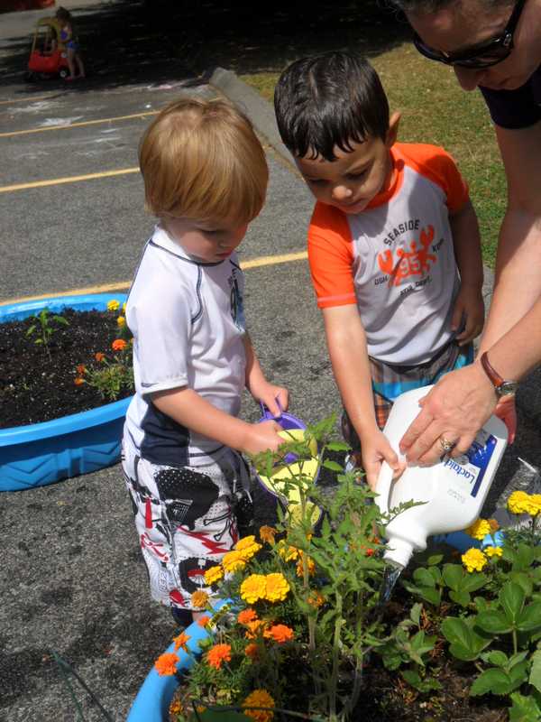 Tarrytown's JCC Is Hiring For Country Day Camp