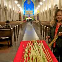 <p>Palms await parishioners inside St. Mary&#x27;s Church in Stamford on Palm Sunday.</p>