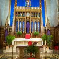 <p>The alter at St. Mary&#x27;s is decorated with palms for Palm Sunday.</p>