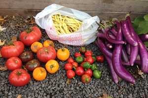 Garden Club Of Peekskill Announces 2014 Civic Beautification Awards