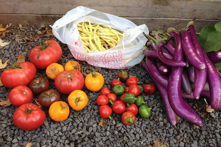 Garden Club Of Peekskill Announces 2014 Civic Beautification Awards