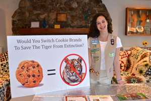 Scarsdale Teen Organizes 'Save The Tiger' Weekend at the Bronx Zoo