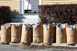 Leaf Removal Program Yields Cleaner Streets, Storm Drains In New Rochelle