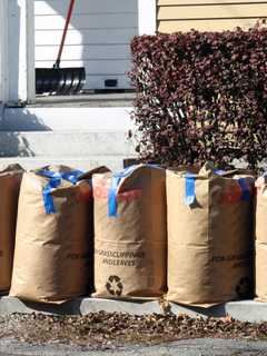 Bagged Leaf Collection In Stratford Begins Again This April