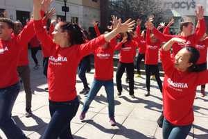 White Plains Shoppers, Lunch Crowd Treated To Dancing Courtesy Of Cambria