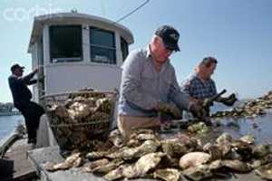Bridgeport Hosting Summit On Nitrogen Pollution In Long Island Sound