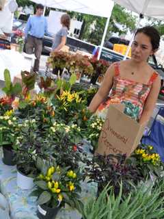 Cortlandt Farmers Market To Offer Shuttle Service