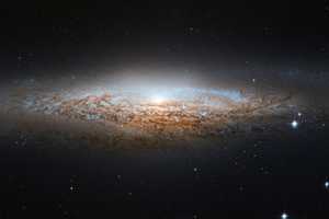 NASA Expert Says Alien Life Will Be Found In Next Decade