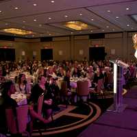 <p>Geena Davis speaks to the crowd at the Fund for Women and Girls luncheon.</p>