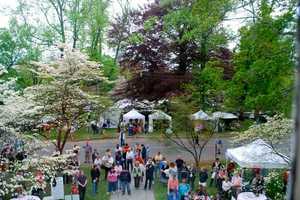 80th Annual Dogwood Festival Blooms In Fairfield In May