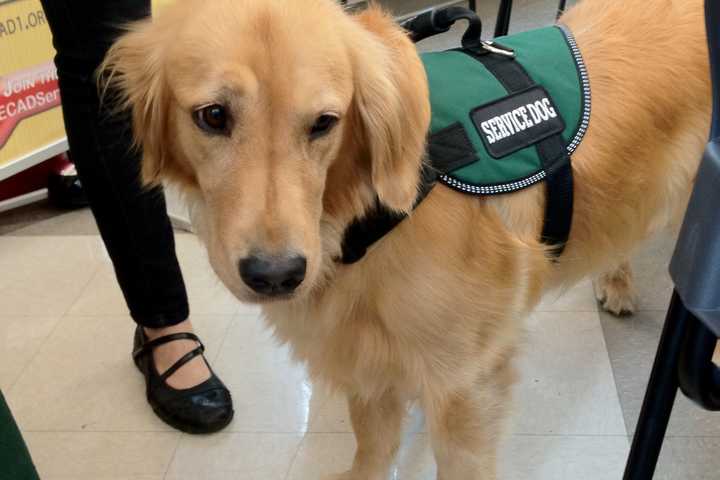 ECAD Gala Honors Tarrytown Resident At Fundraiser