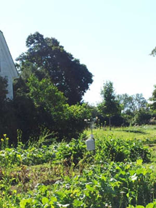 Learn Pros Of Leasing Farmland At Westchester Land Trust Events