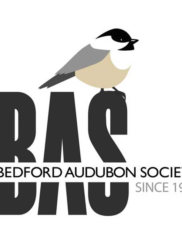 Bedford Audubon Offers Marty McGuire Scholarship