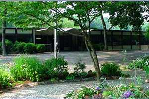 New Assistant Principal Selected For Greenwich's Central Middle School