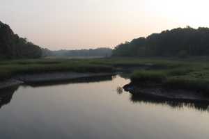 Westchester Land Trust Acquires Mamaroneck's Otter Preserve