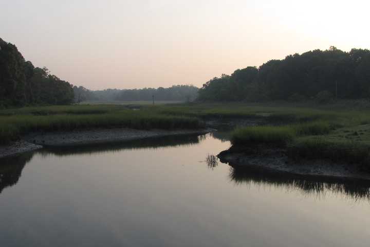 Westchester Land Trust Acquires Mamaroneck's Otter Preserve