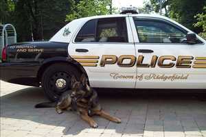 Ridgefield Police To Say Goodbye To Retired Canine Zeus