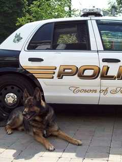 No Drugs Found During Sweep At Ridgefield High School