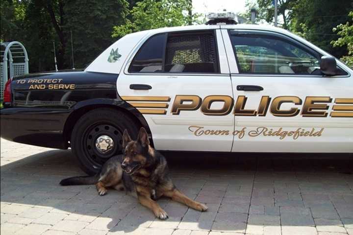 Ridgefield Police To Say Goodbye To Retired Canine Zeus