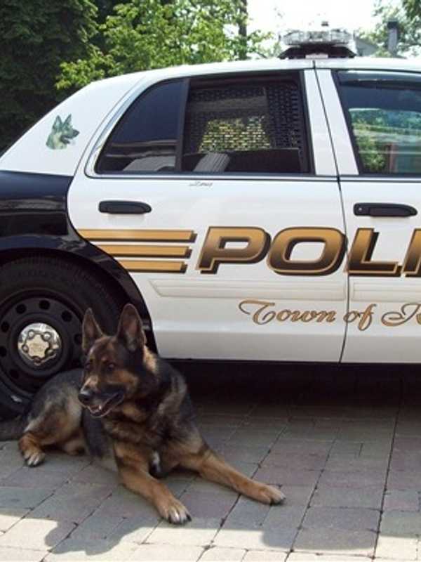 No Drugs Found During Sweep At Ridgefield High School