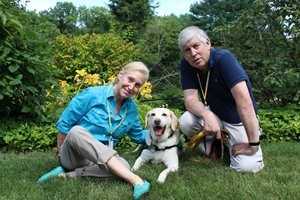 Easton Canine Gives Boost To Patients At New Canaan's Silver Hill Hospital 