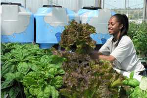 Westchester Celebrates Earth Day With Variety Of Events