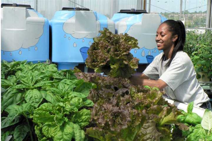 Westchester Celebrates Earth Day With Variety Of Events