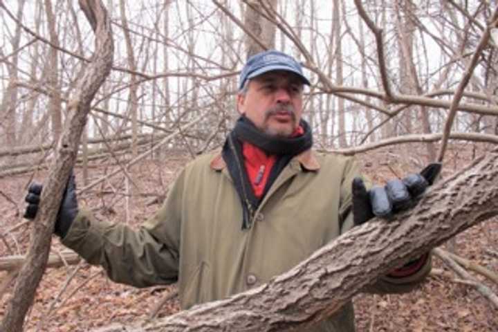 Harrison Resident Named 'Best Volunteer Friend' Of Westchester County Parks