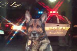 Ridgefield Police Pay Tribute To K-9 Officer Zeus