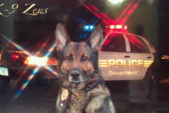 Ridgefield Police Pay Tribute To K-9 Officer Zeus