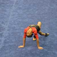 <p>Carlee Reeid performs on the floor exercise during a competition in St. Louis.</p>