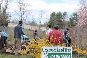 Celebrate Earth Day With The Greenwich Land Trust