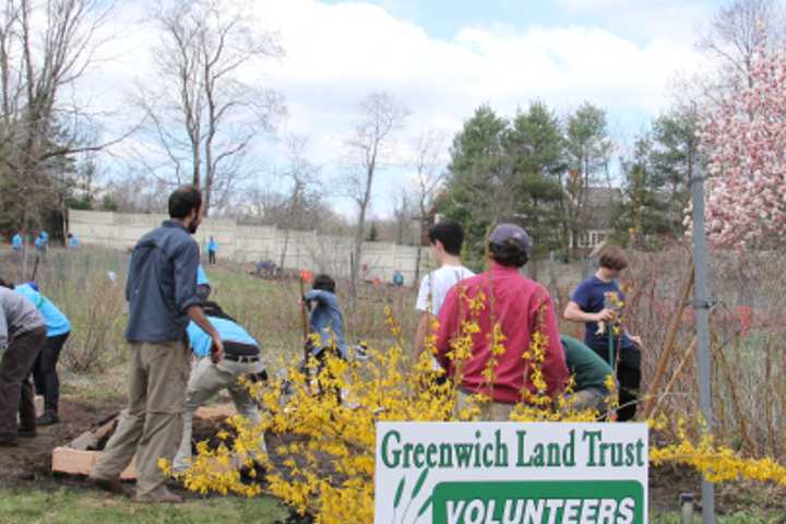 Celebrate Earth Day With The Greenwich Land Trust