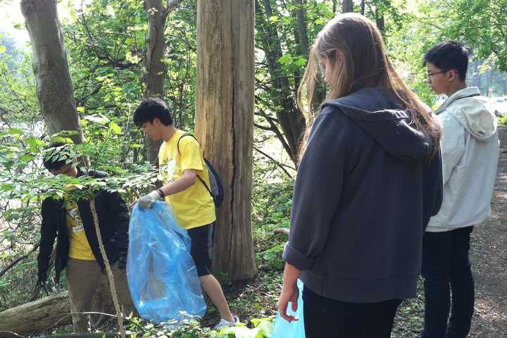 Mount Kisco's Beautification Committee Having Clean-Up Day
